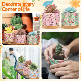 Threehoney complete 12-pack set for a coordinated indoor garden.