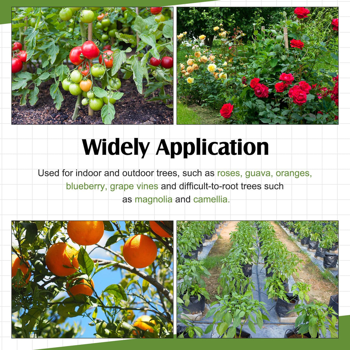 Durable polypropylene construction ensures long-term garden use.