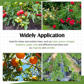 Durable polypropylene construction ensures long-term garden use.