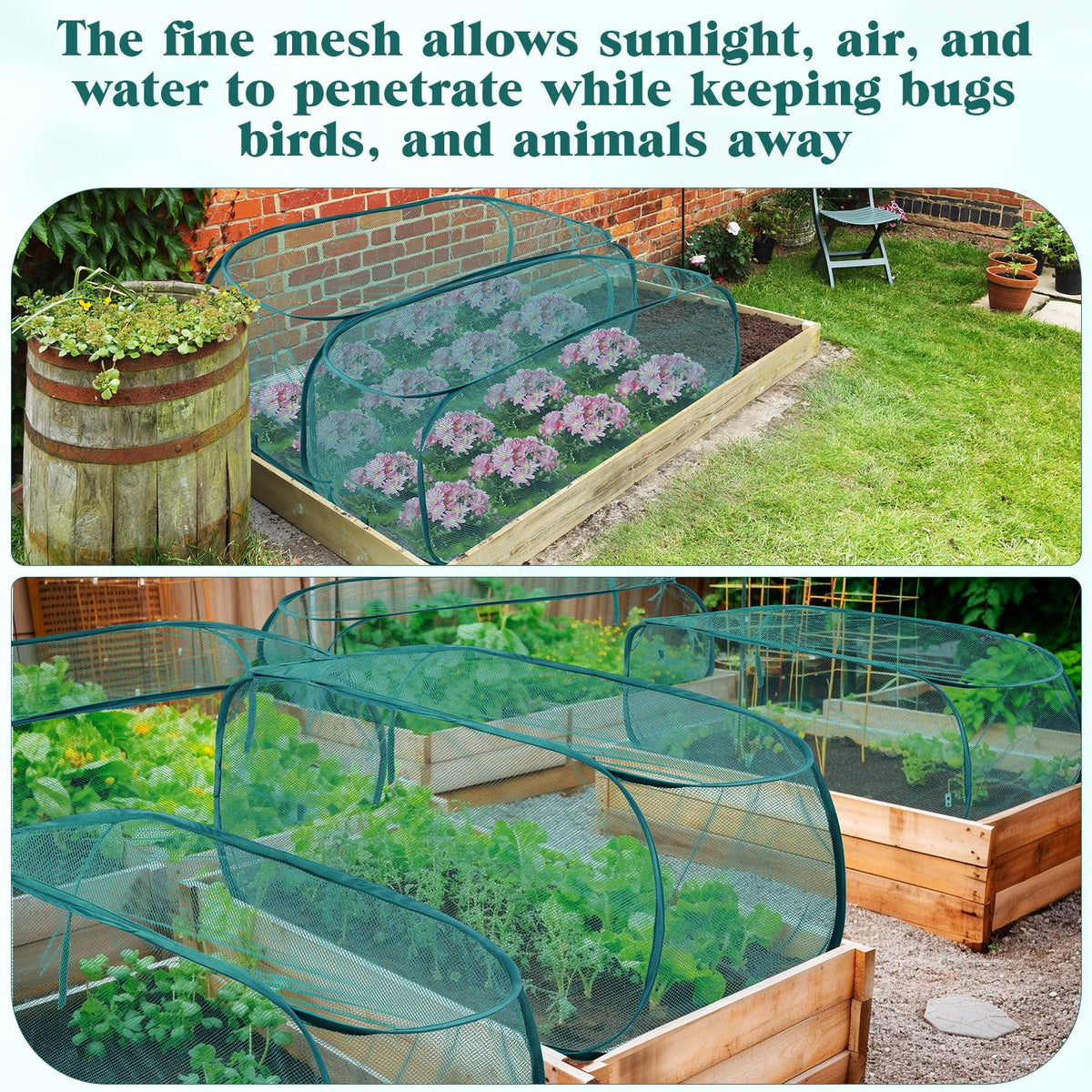 Easy-access seedling cover for watering and pruning
