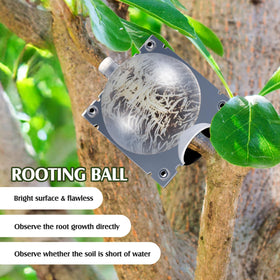Threehoney humidity-friendly rooting environment supports propagation