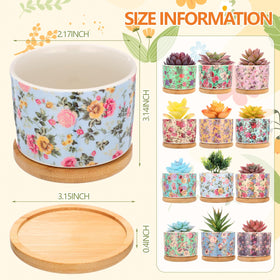 Threehoney mini pot with drainage hole ideal for small plants on windowsills.