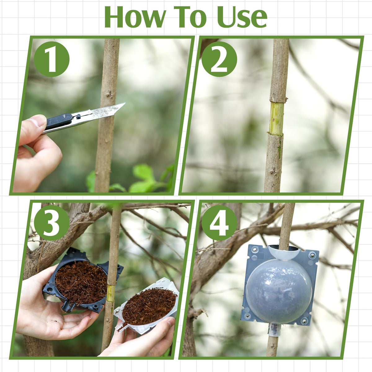 Threehoney pods allow watching rooting progress through the transparent section.
