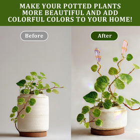 Threehoney six-piece decor set for potted plants brightens indoor spaces