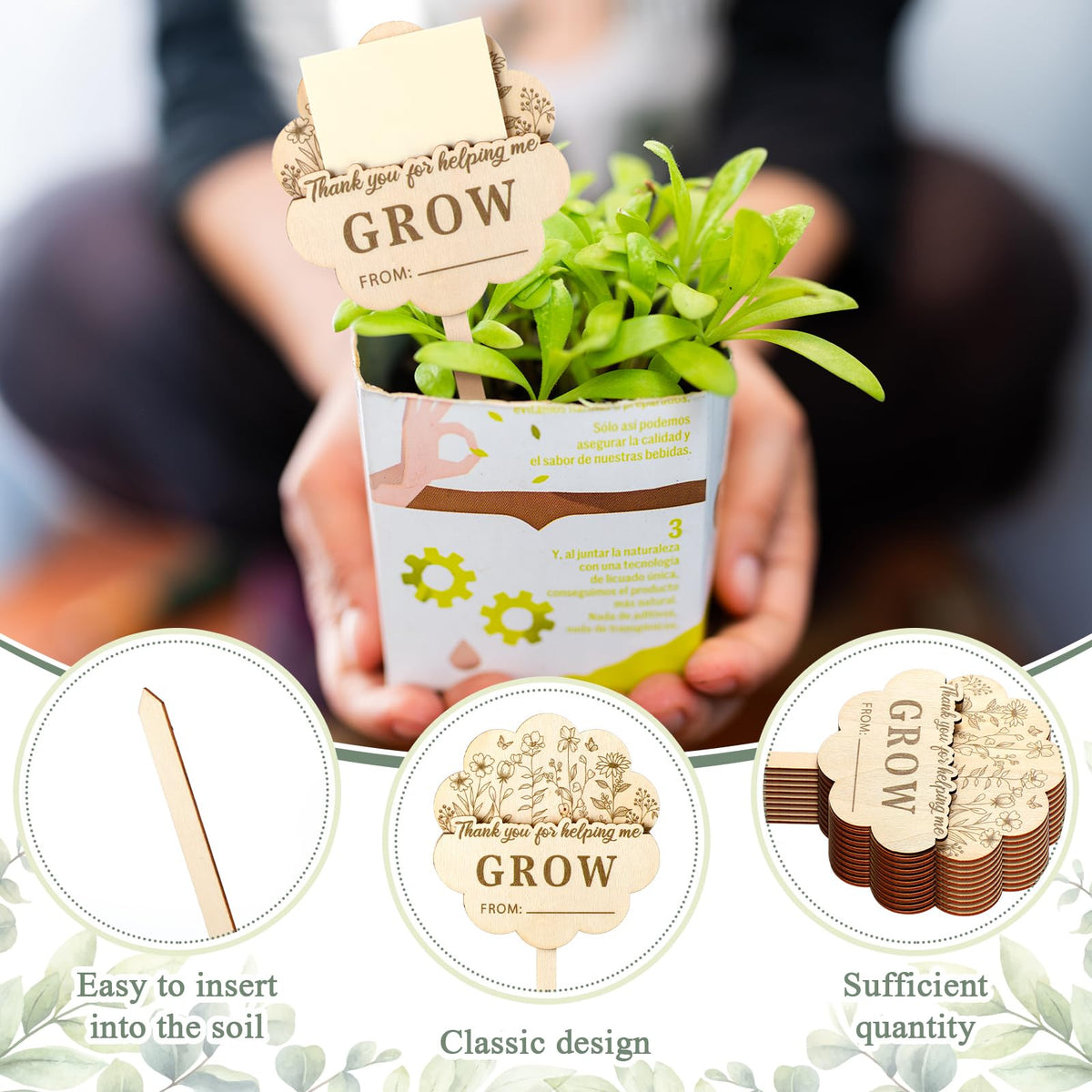 Threehoney wooden stakes on a shelf beside a green plant