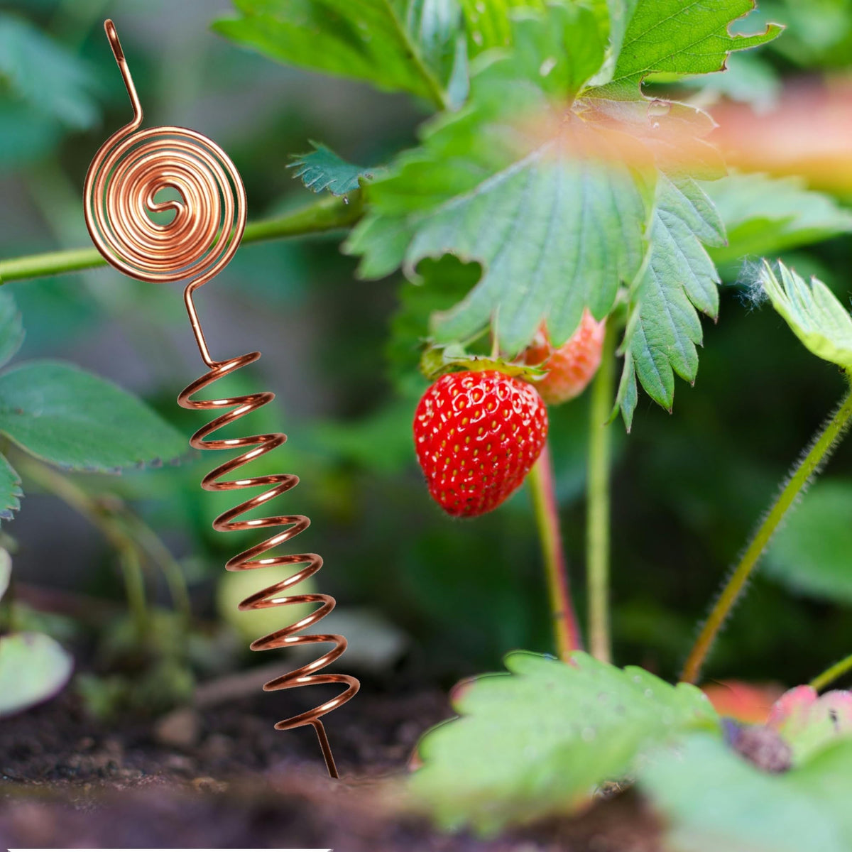 Thrive Garden promotes energy flow and soil conductivity for plants