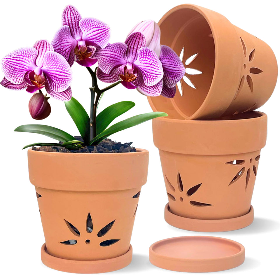 Thriving Thicket 6-inch terracotta orchid pot with holes for repotting orchids.