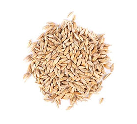 Thunder Acres Barley Seed packaging highlights certified organic, Non-GMO seeds for home gardeners.