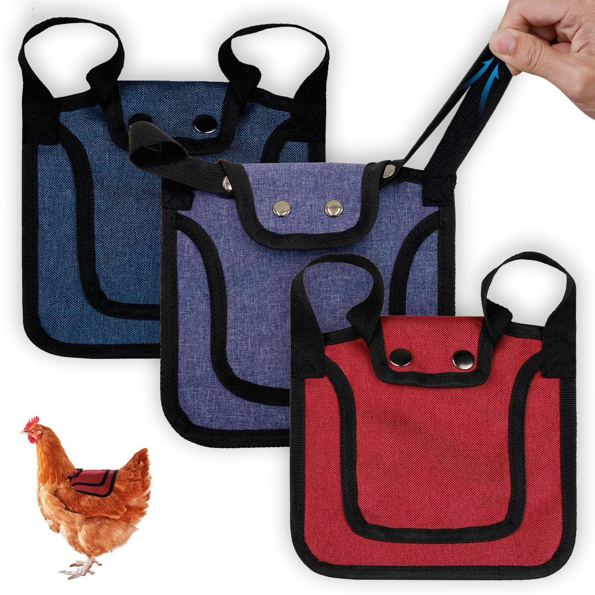 Thungeek blue chicken saddle providing back protection during activity