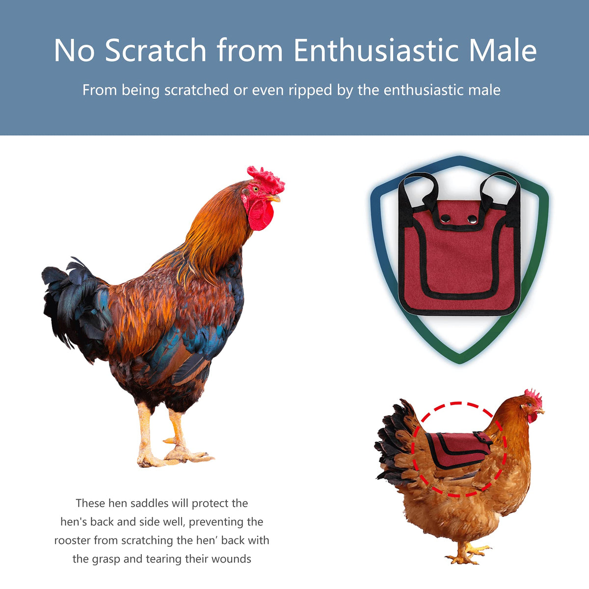 Thungeek purple chicken saddle protects sides and feathers during pecking