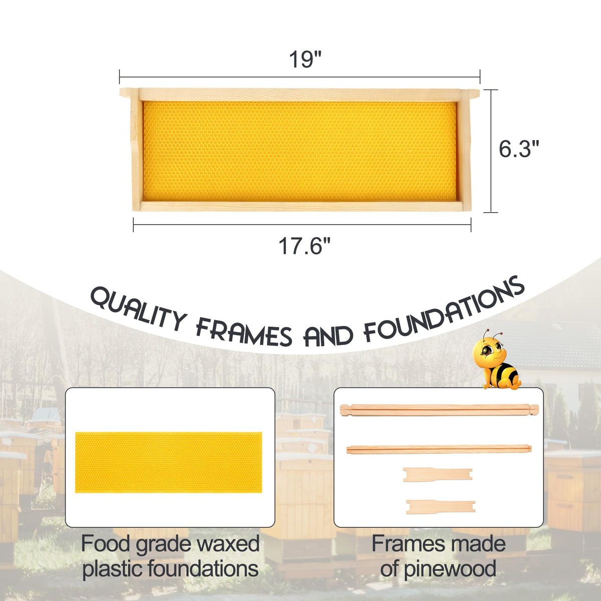 ThxBees beeswax-coated foundation sheets enhancing durability and ease of use