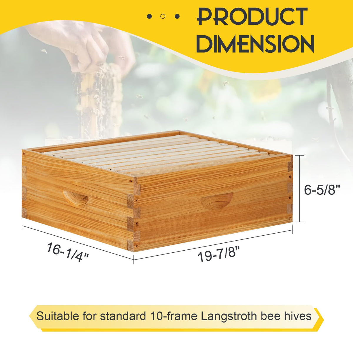 ThxBees cedar wood hive ready to accept frames and foundation sheets