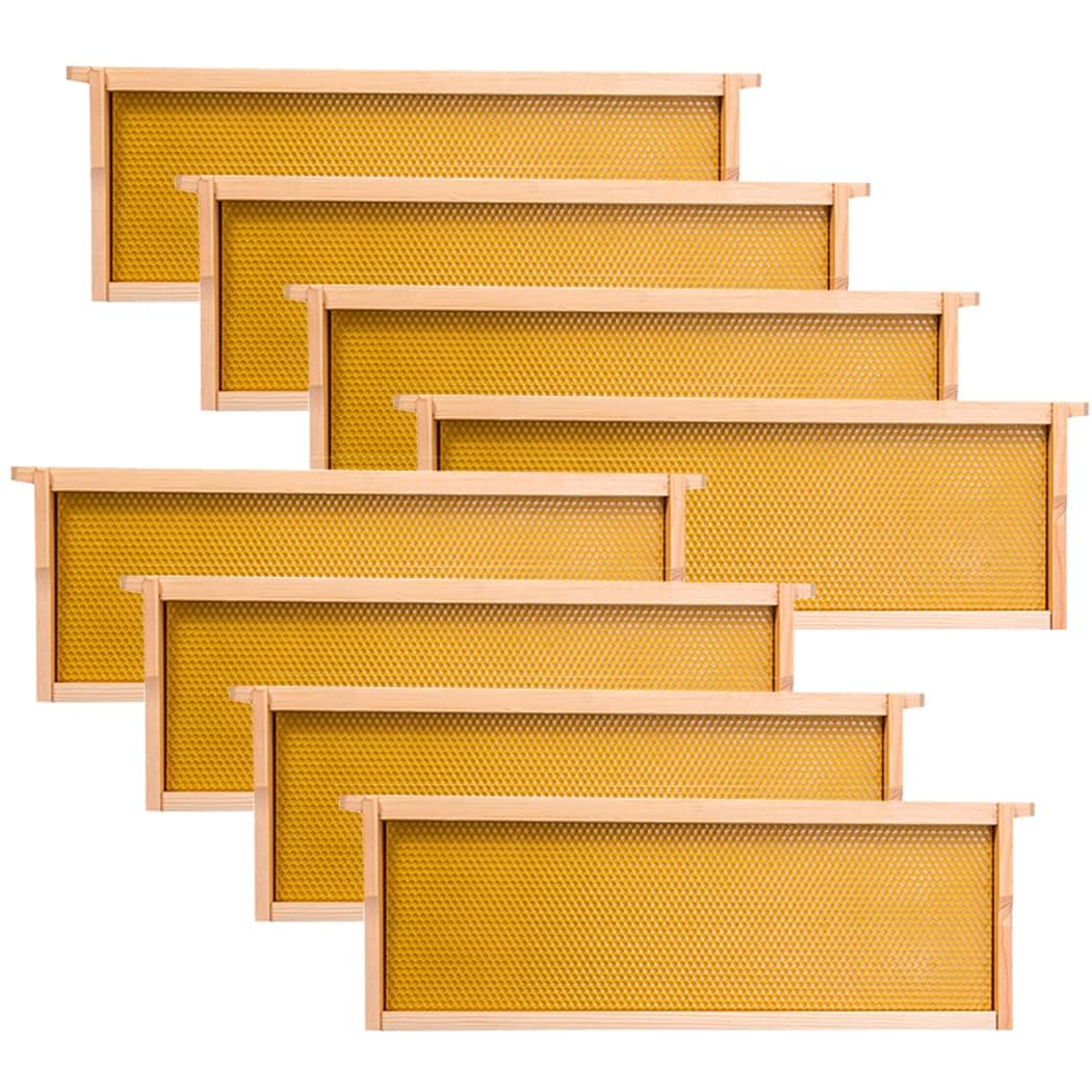 ThxBees standard dimensions fit Langstroth systems for easy equipment compatibility