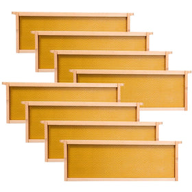 ThxBees standard dimensions fit Langstroth systems for easy equipment compatibility