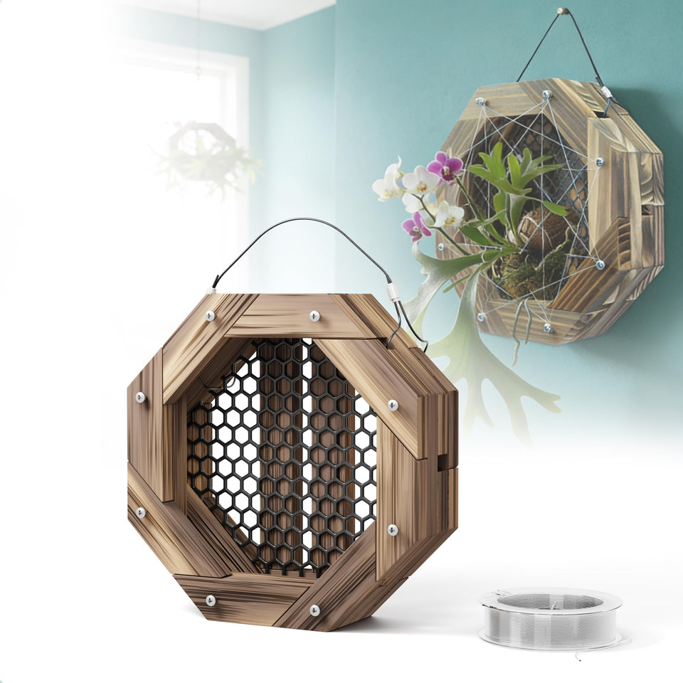 THXTYVM staghorn-fern-mount-kit shows quick installation and secure plant support.