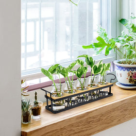 THYGIFTREE metal stand with board stabilizing propagation jars