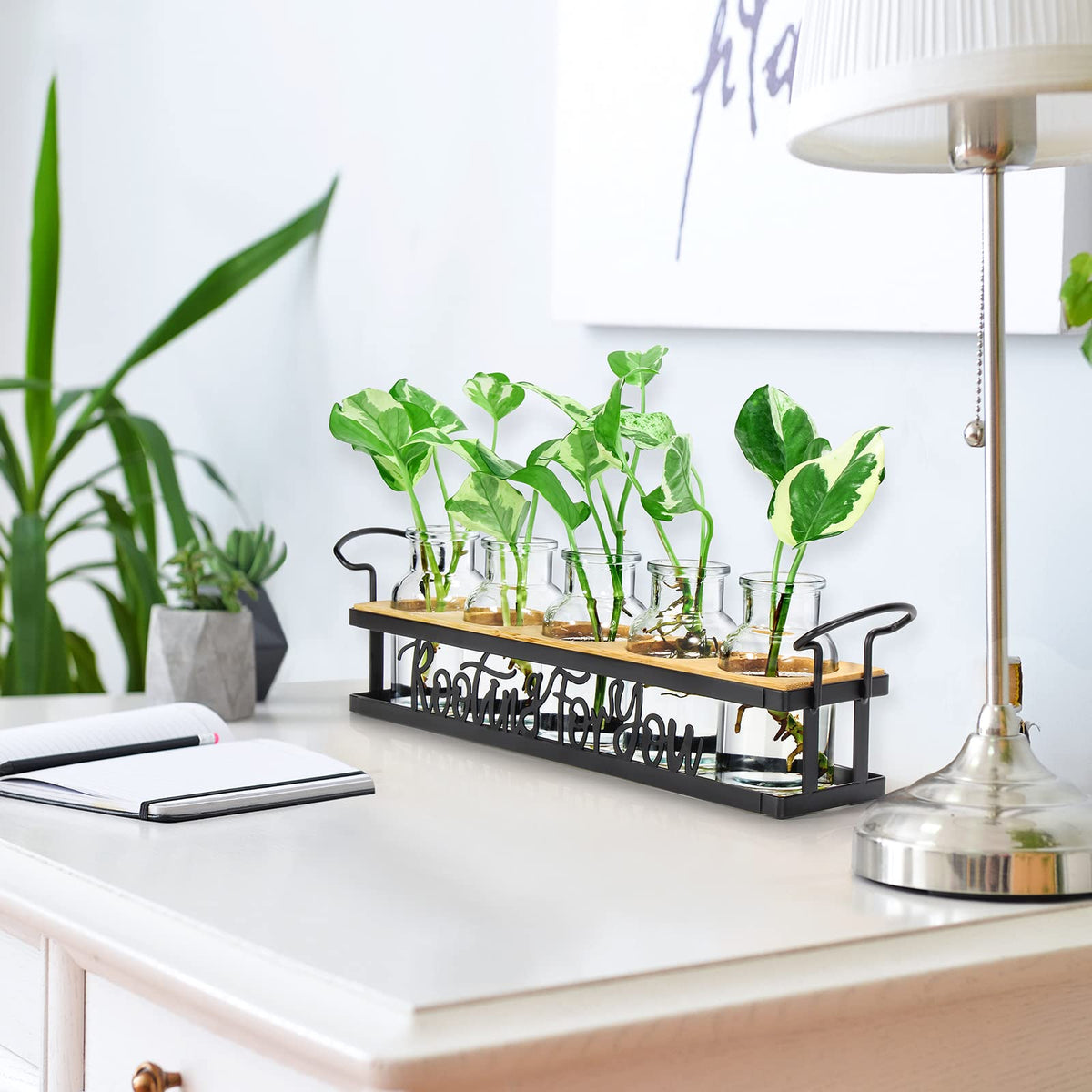 THYGIFTREE plant display featuring pothos and monstera greens