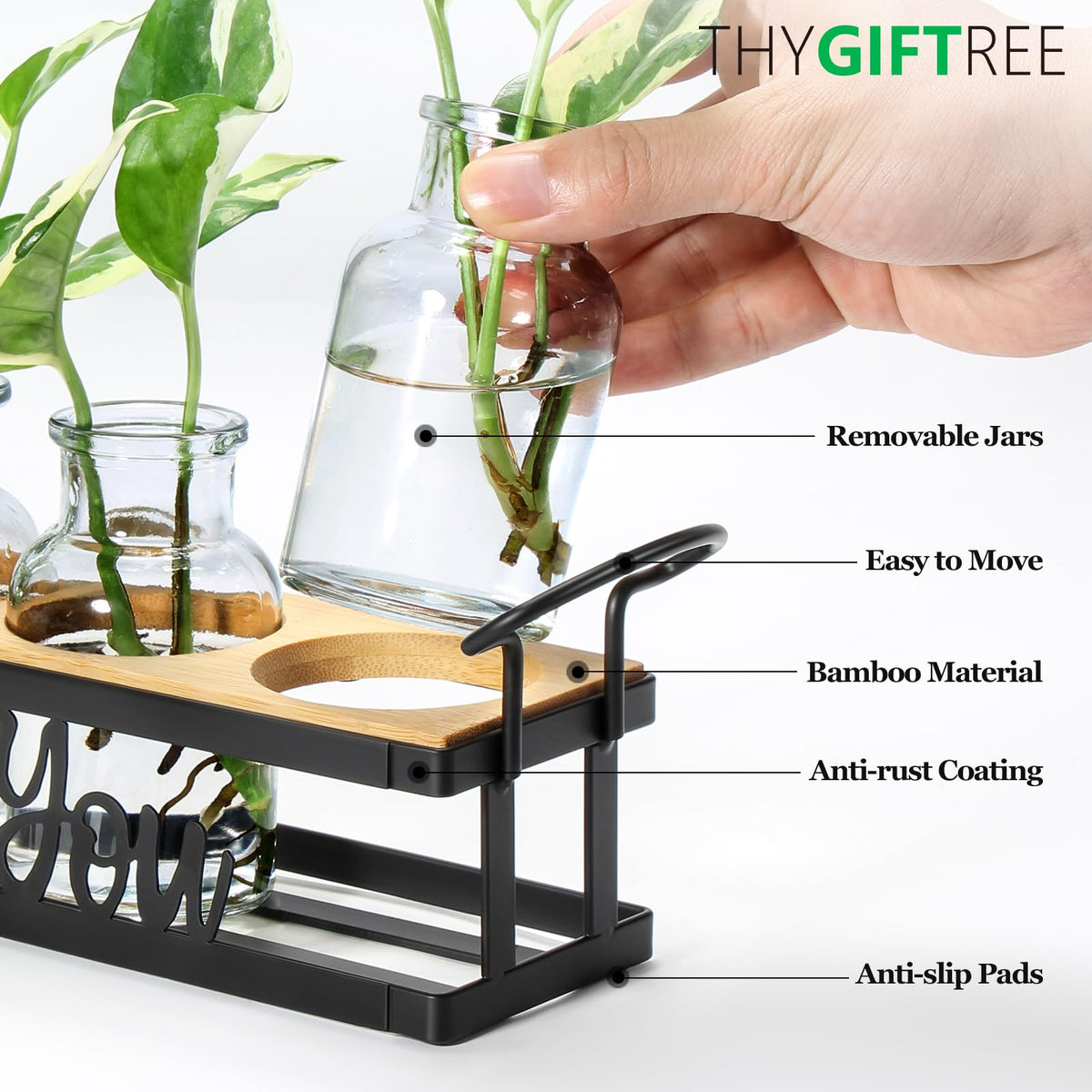 THYGIFTREE propagation jar 4-4oz open mouth for easy water changes