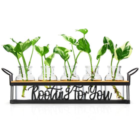 THYGIFTREE propagation station base black on a desk for sturdy plant care