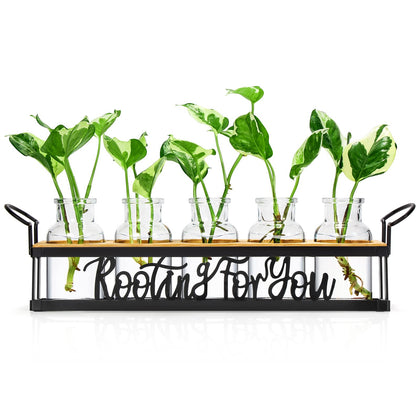 THYGIFTREE propagation station base black on a desk for sturdy plant care