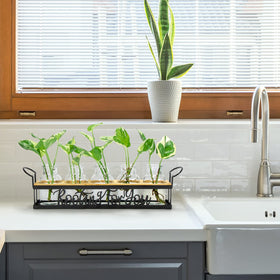 THYGIFTREE propagation station shown as elegant desk decor