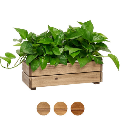 THYOI premium wooden planter box in natural stain for indoor and outdoor display