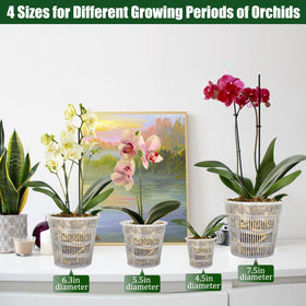 Tialero 6.3-inch clear orchid pot highlighting drainage holes for airflow.