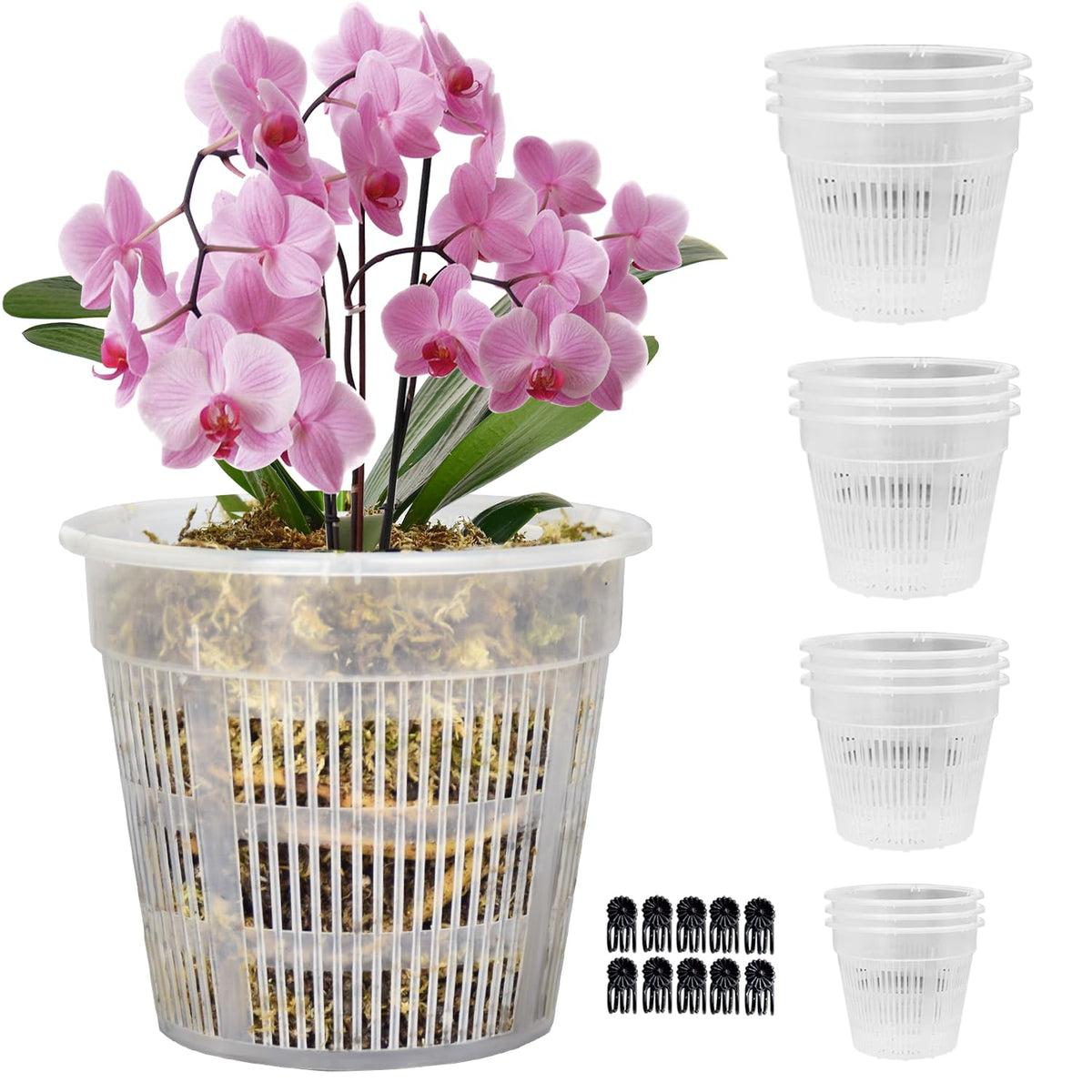Tialero 7.5-inch clear orchid pot showing root visibility for moisture monitoring.