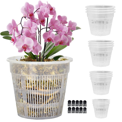 Tialero 7.5-inch clear orchid pot showing root visibility for moisture monitoring.