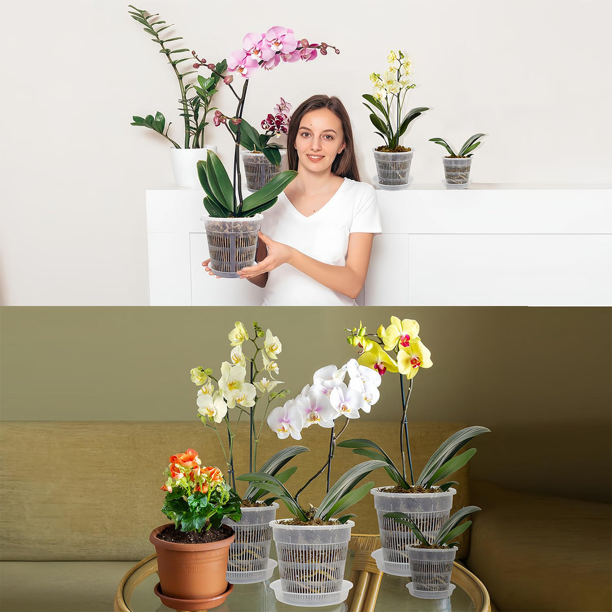 Tialero durable PP orchid pot resists cracks and warping