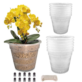 Tialero Orchid Pot 12-pack with clear walls for easy root observation.