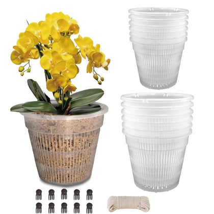 Tialero Orchid Pot 12-pack with clear walls for easy root observation.