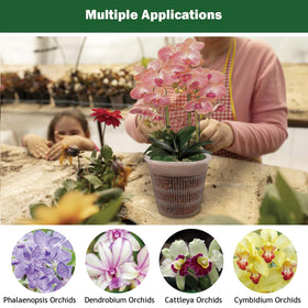 Tialero 12-pack orchid pots stackable for neat countertop organization