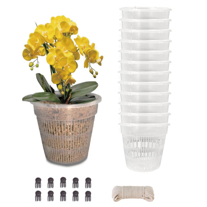 Tialero orchid pot 4.5in clear front view highlights root visibility and drainage