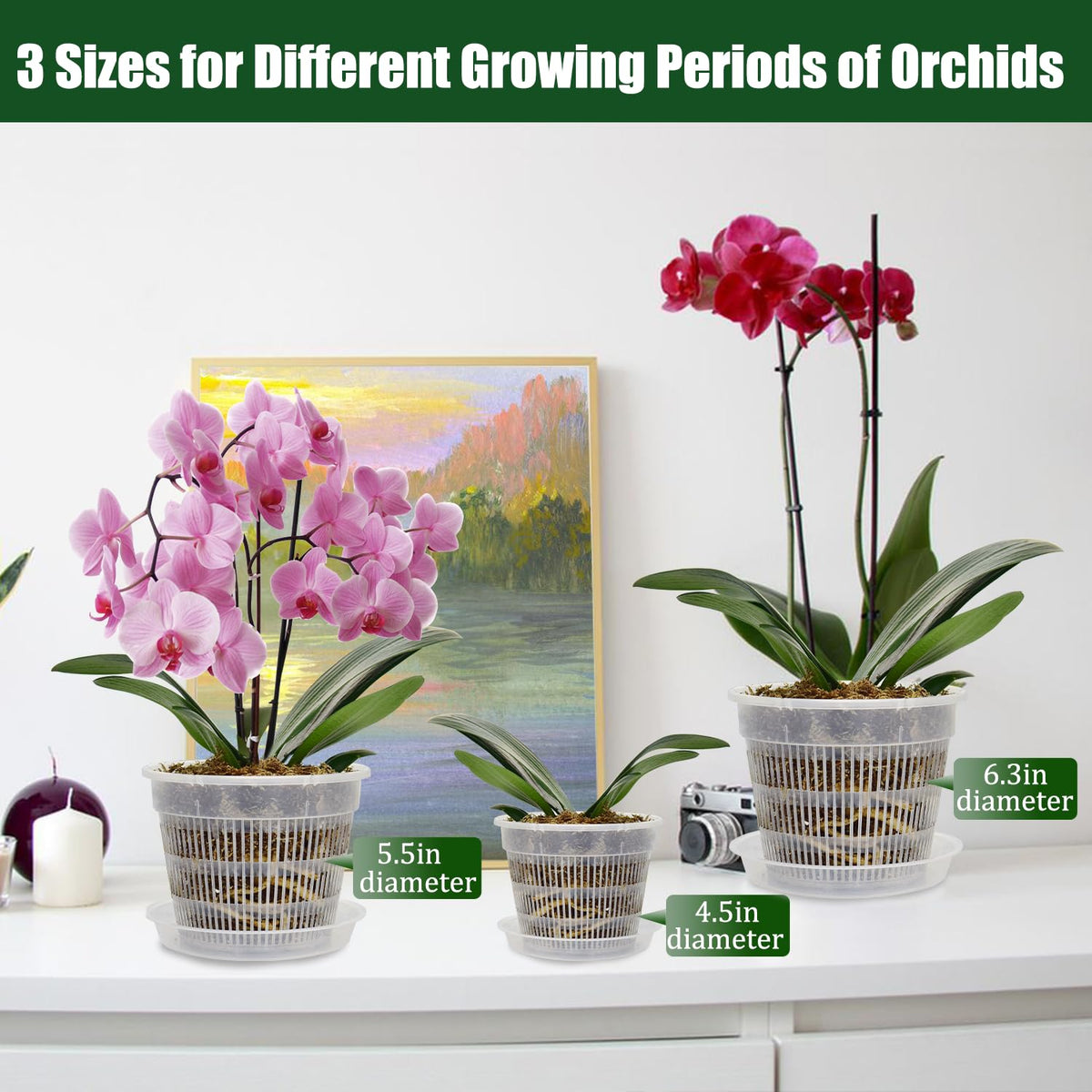 Tialero 4.5in orchid pot with saucer supports compact transfers and airflow