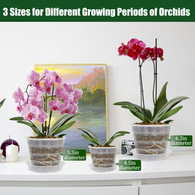 Tialero 4.5in orchid pot with saucer supports compact transfers and airflow