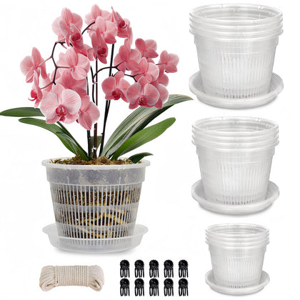 Tialero 6.3in orchid pot with saucer for easy root viewing and controlled drainage