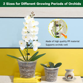 Sturdy PP material used for Tialero Orchid Pot resists cracks and deformation.
