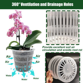 Tialero orchid pot with side drainage holes for healthy airflow