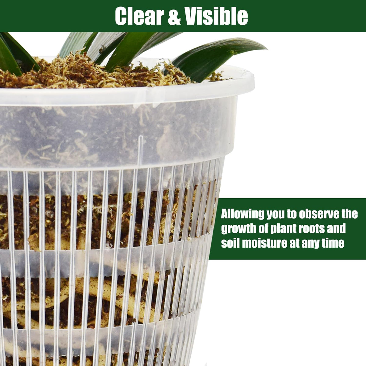 Tialero orchid pots set neatly packaged for gifting and storage.