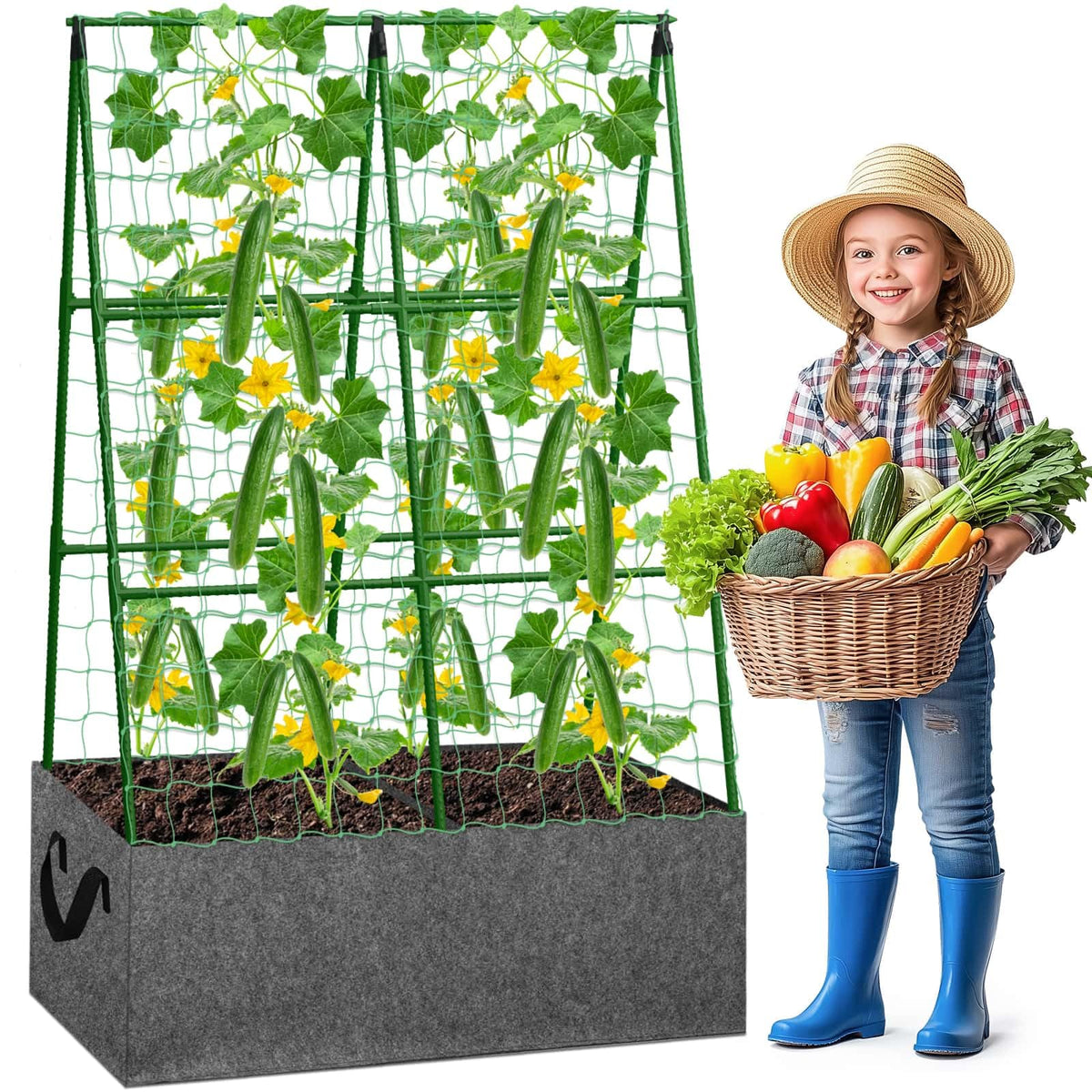 Tidponra cucumber trellis frame supports upright growth for climbing plants.