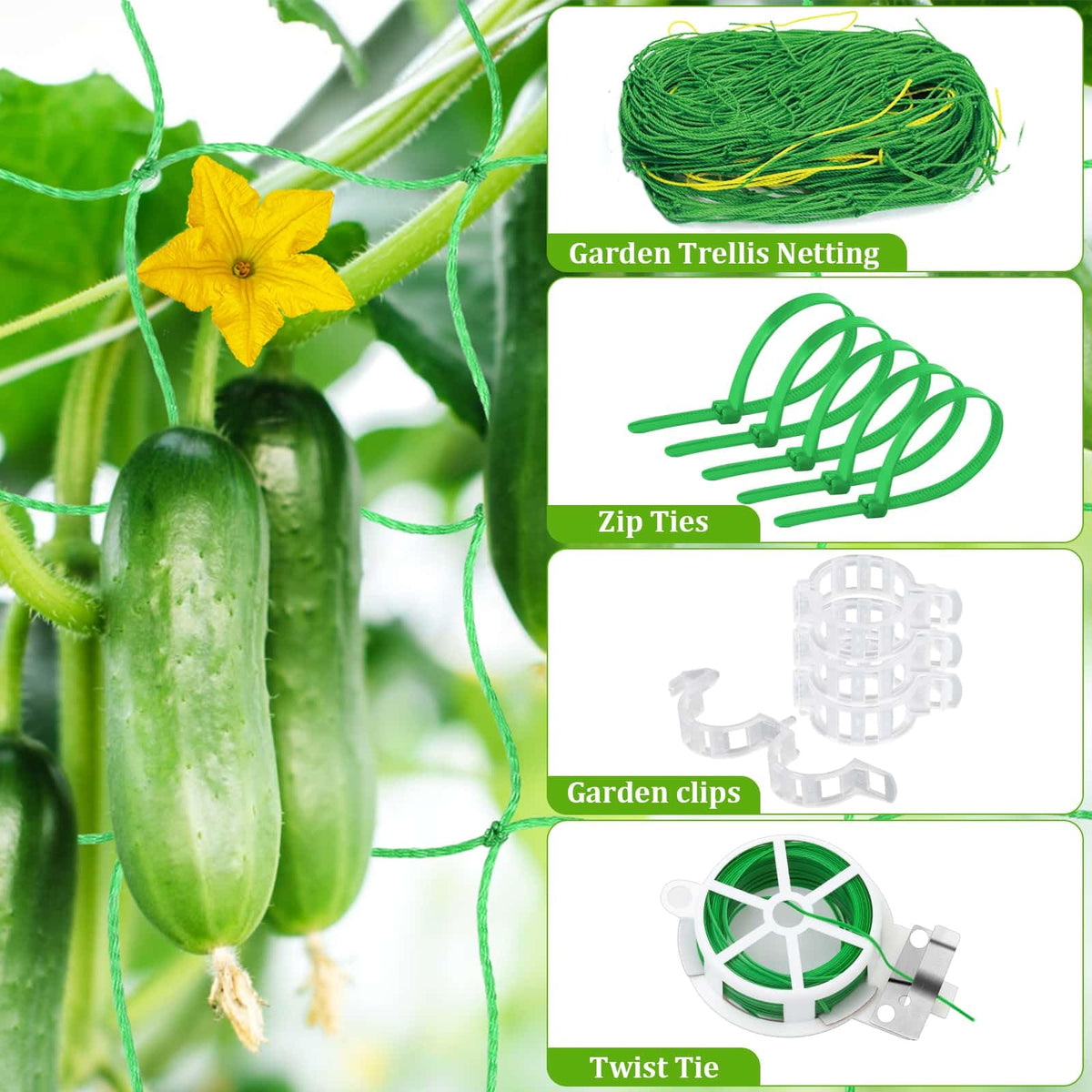 Tidponra garden gloves protect hands during plant training.