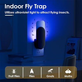 TIENBE night light mode offers gentle illumination while trapping