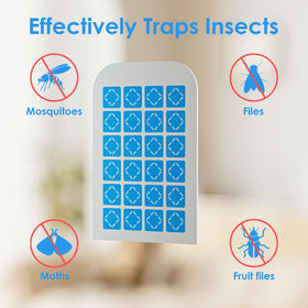 TIENBE glue cards in a discreet trap for effective pest control.