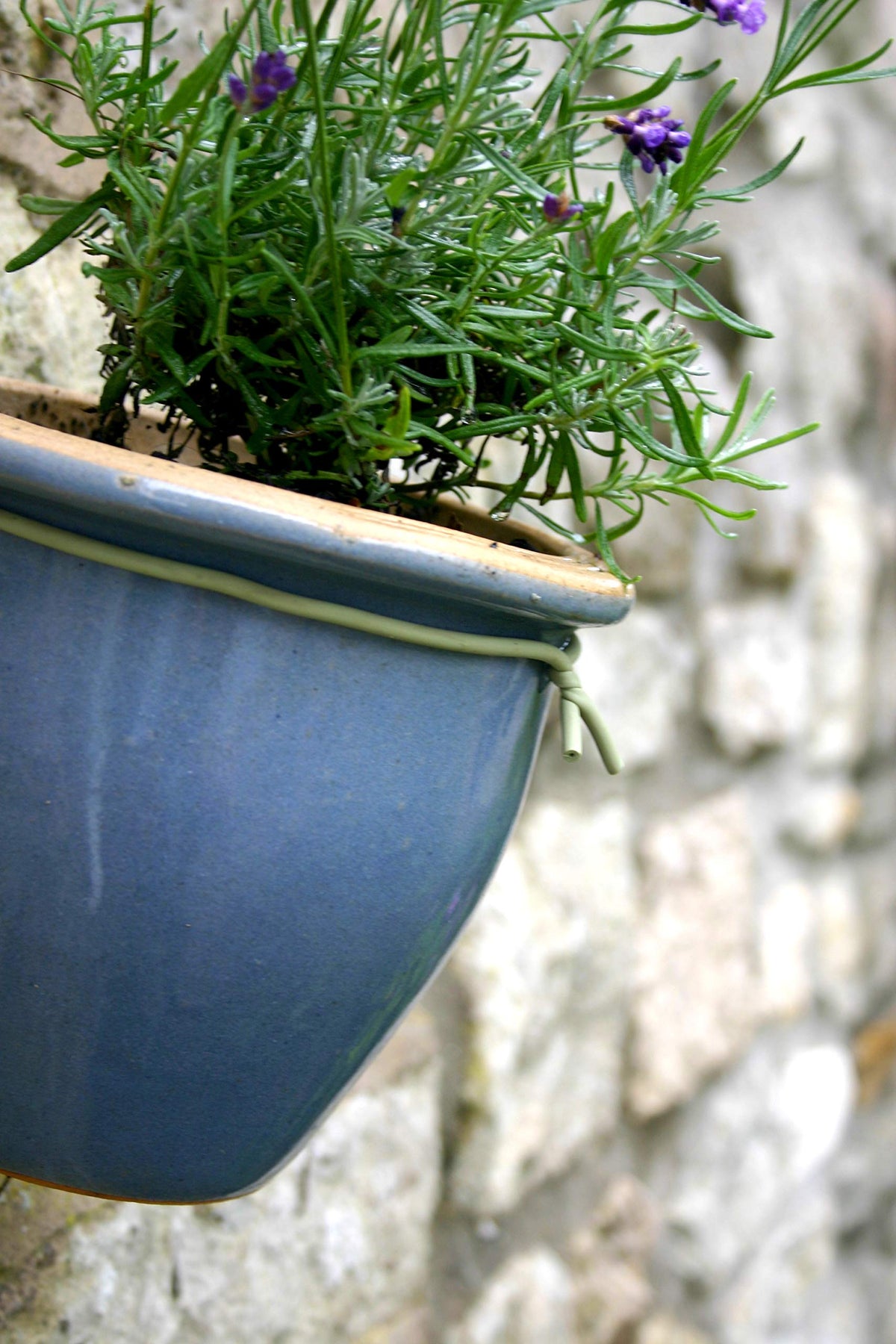 Tierra Garden Slim Soft-Tie showing galvanized steel core under rubber coating.