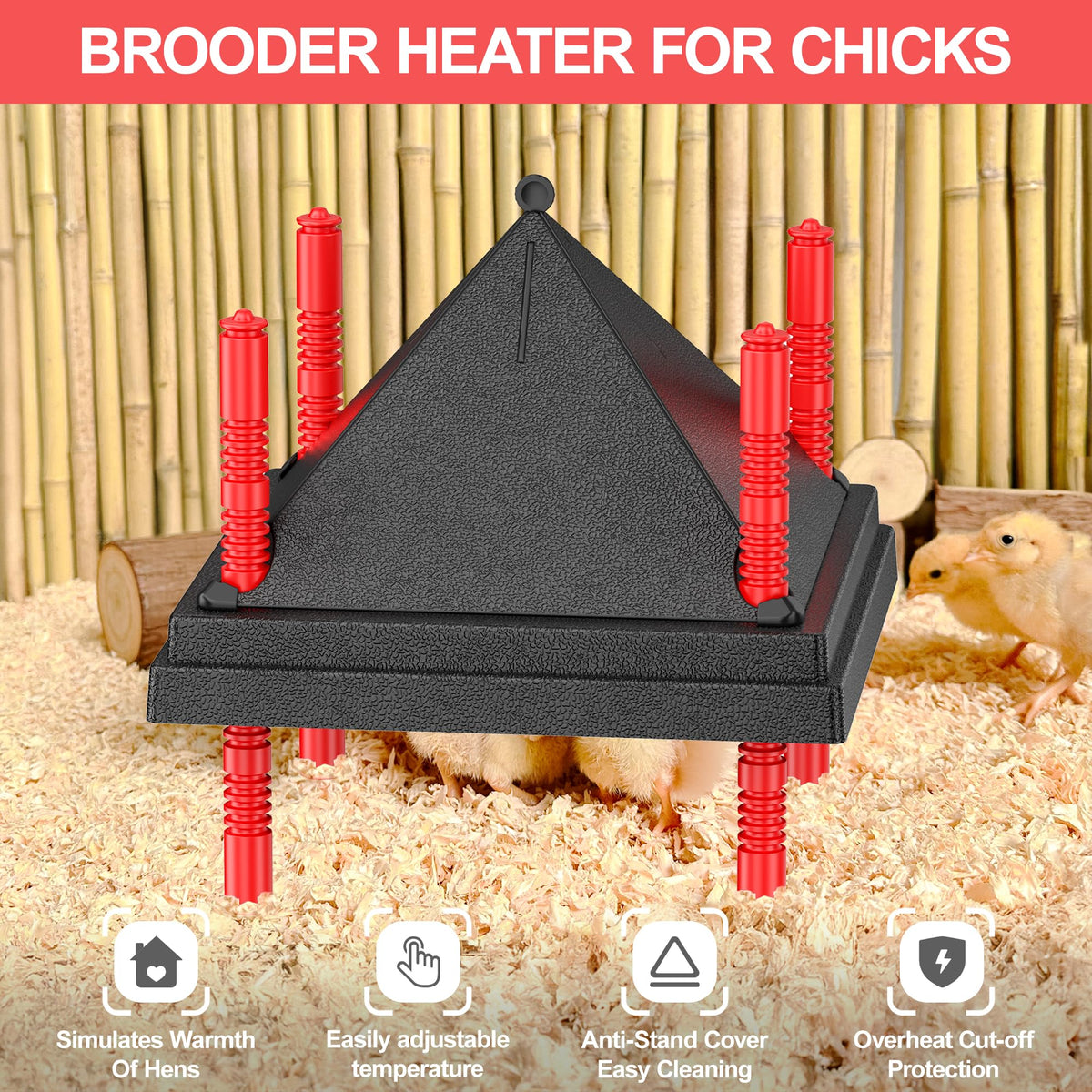 Tiflev brooder plate energy-efficient design saves power while warming chicks.