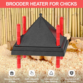 Tiflev brooder plate energy-efficient design saves power while warming chicks.