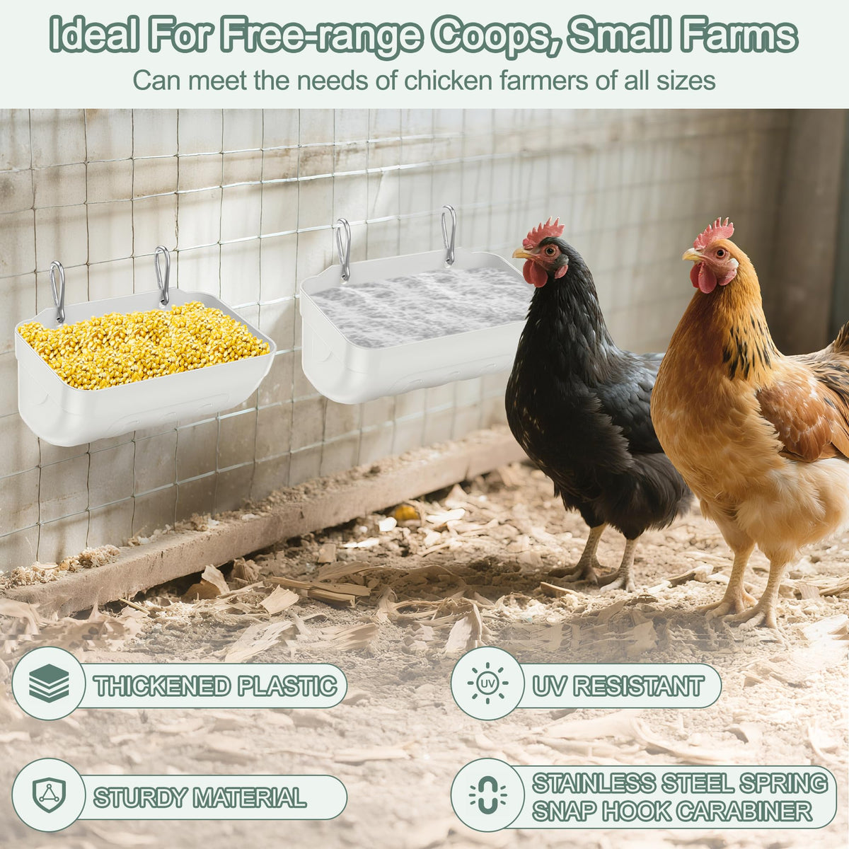 Tiflev large-capacity feeder reduces refills during busy days in the coop.