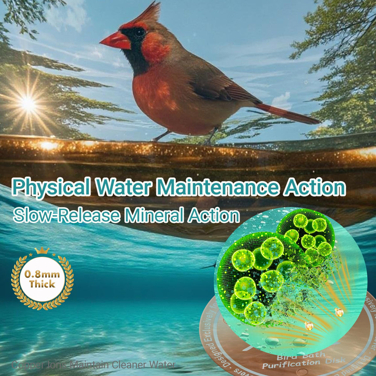 Tiftoxify copper disk maintains water clarity with reduced cleaning.