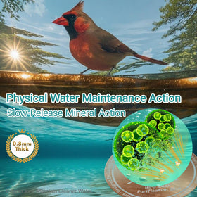 Tiftoxify copper disk maintains water clarity with reduced cleaning.